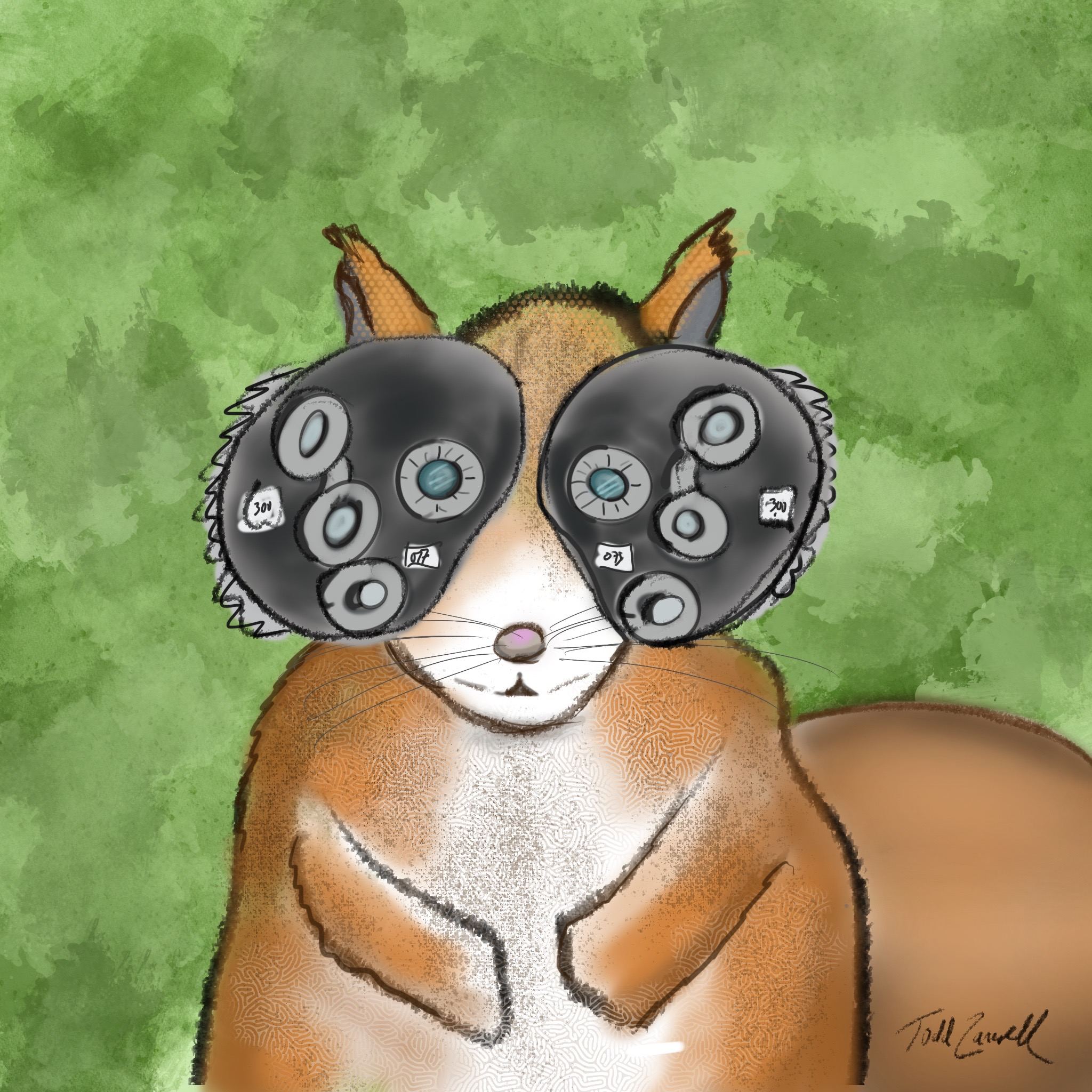 Squirrel eye exam